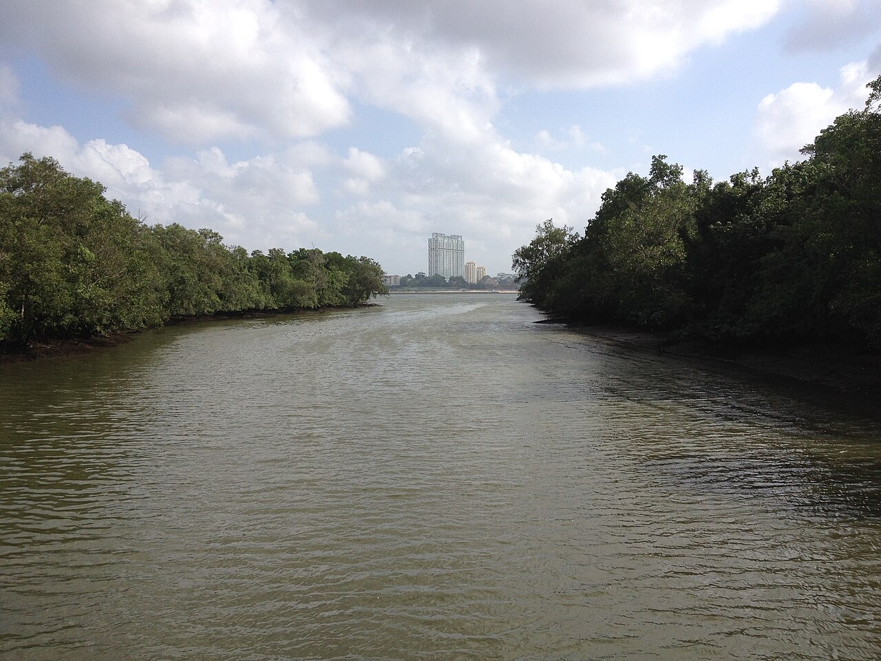 View of mangrove wetlands from the main bridge at Sungei Buloh Wetland Reserve in Singapore