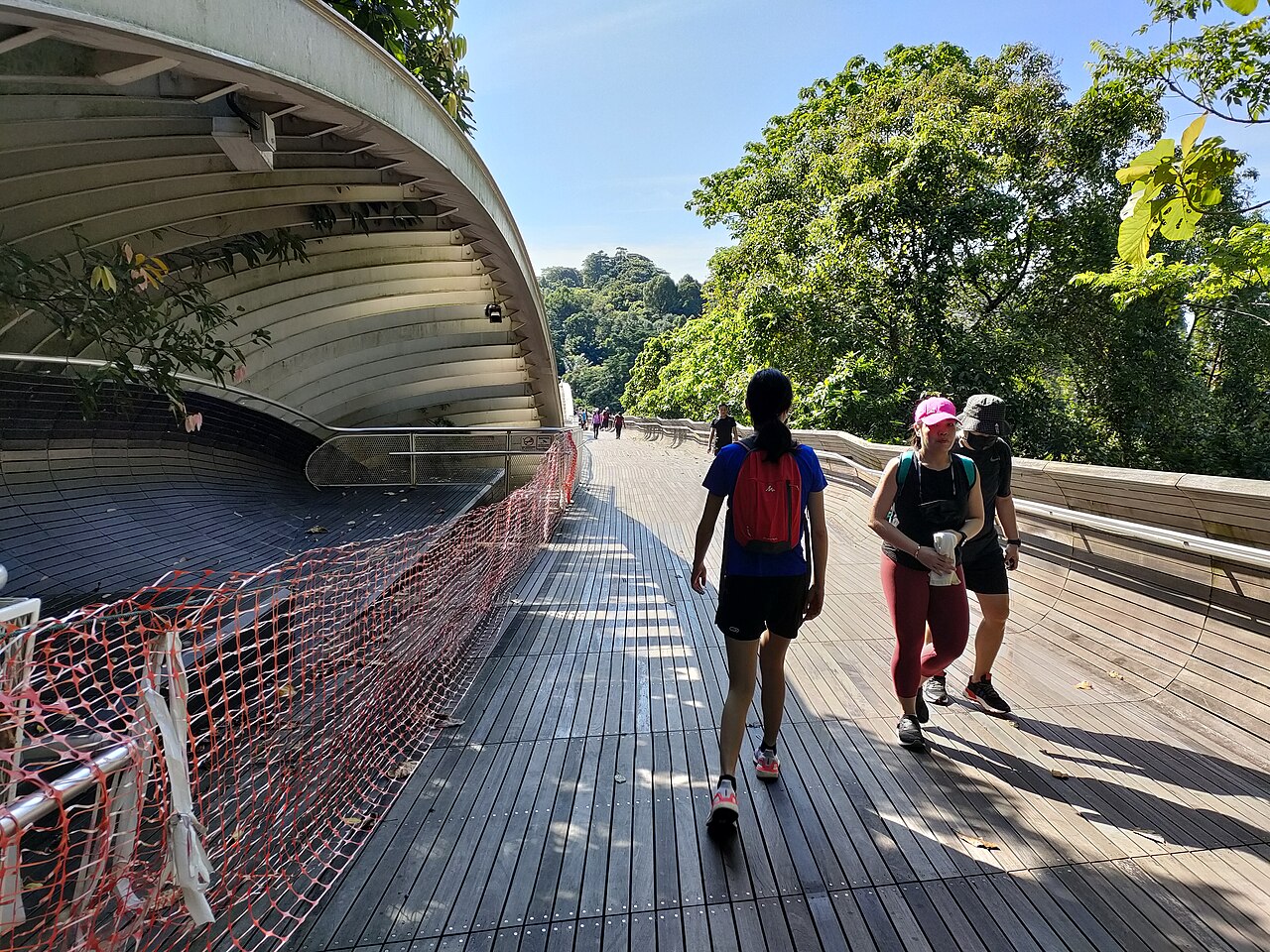 Henderson Waves pedestrian bridge on Singapore's Southern Ridges