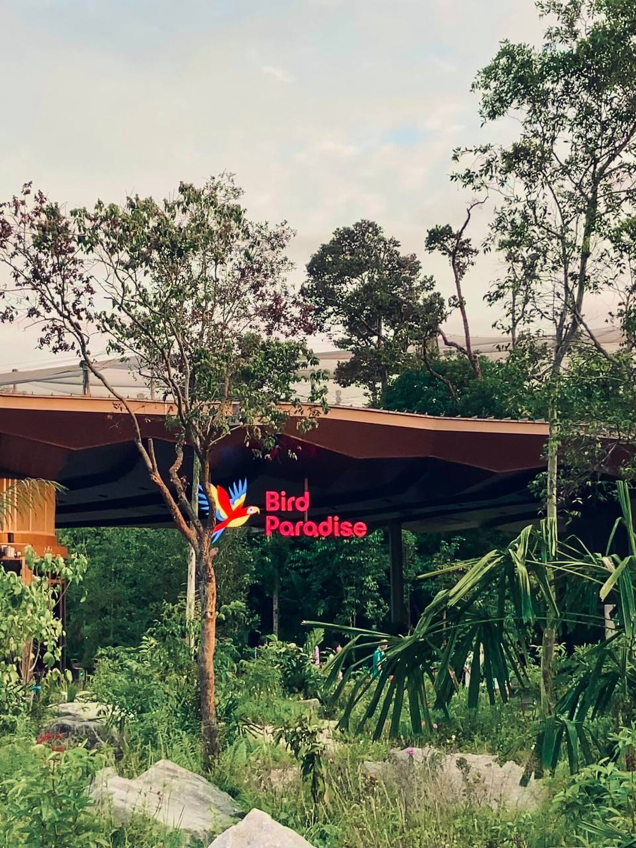 A walk-through aviary inside Bird Paradise at Mandai Wildlife Reserve, Singapore